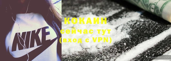 ПСИЛОЦИБИНОВЫЕ ГРИБЫ Абаза
