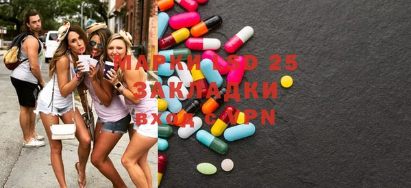 индика Алзамай