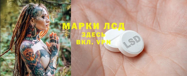 индика Алзамай