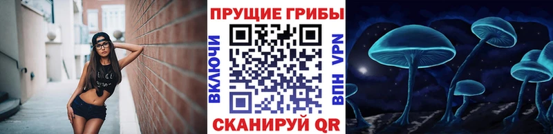 Псилоцибиновые грибы мицелий  кракен рабочий сайт  Таштагол 